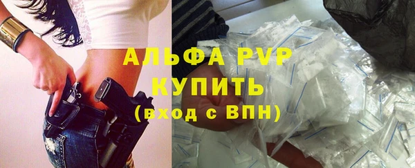 СК Балахна