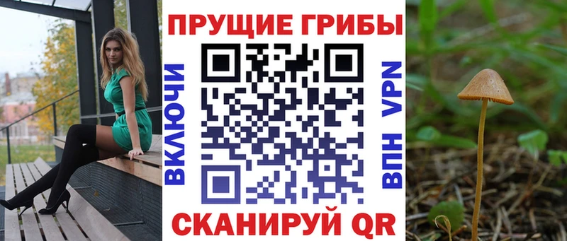 Галлюциногенные грибы Magic Shrooms  Рудня 